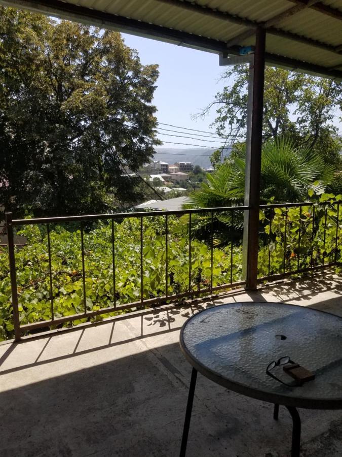 Уиут Ниниа Сад Appartement Tbilisi Buitenkant foto