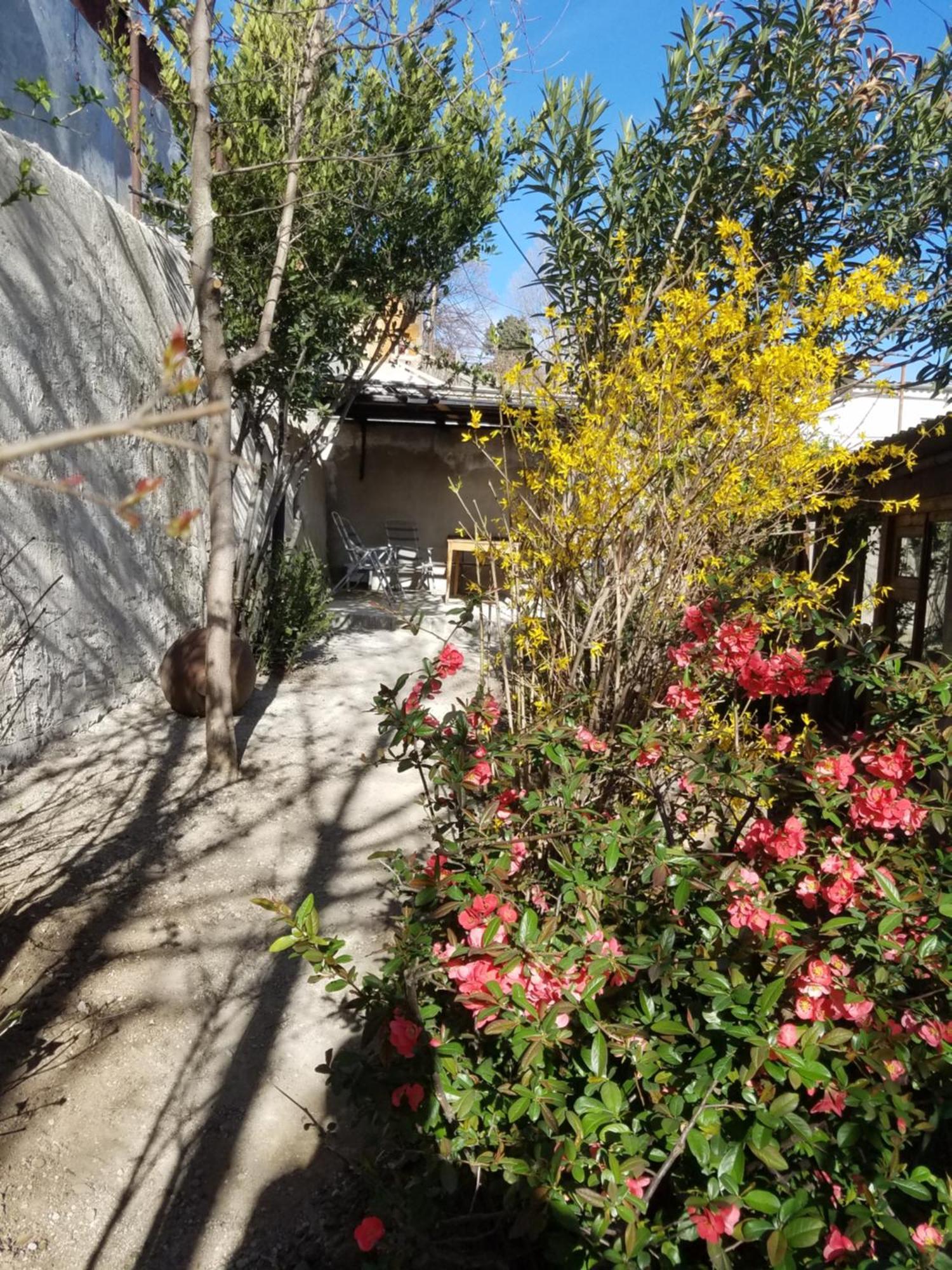 Уиут Ниниа Сад Appartement Tbilisi Buitenkant foto